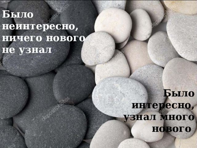Было неинтересно, ничего нового не узнал   Было интересно, узнал много нового   
