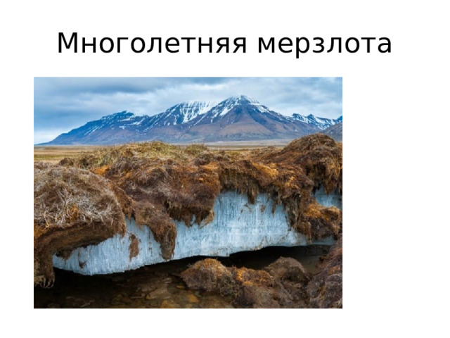 Многолетняя мерзлота 