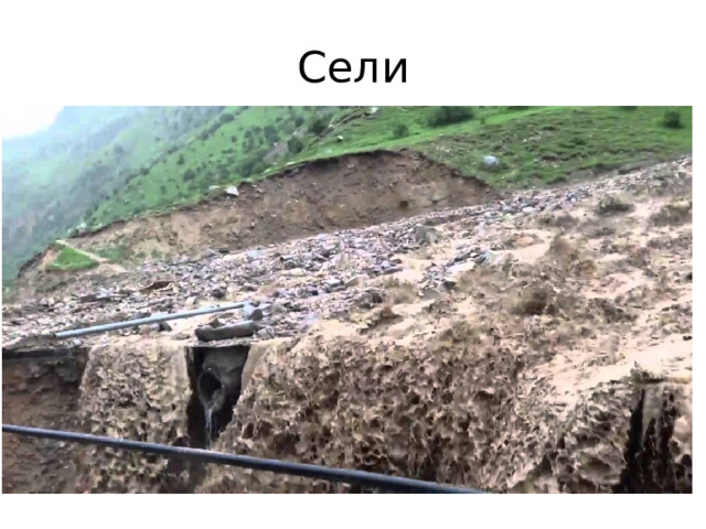 Сели 