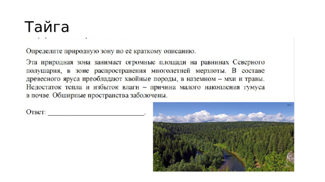 Тайга 