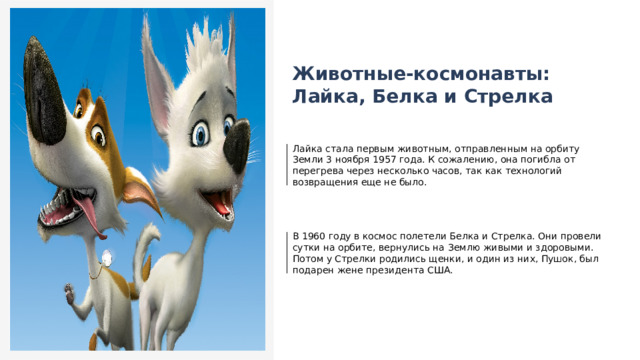  Животные-космонавты: Лайка, Белка и Стрелка Лайка стала первым животным, отправленным на орбиту Земли 3 ноября 1957 года. К сожалению, она погибла от перегрева через несколько часов, так как технологий возвращения еще не было. В 1960 году в космос полетели Белка и Стрелка. Они провели сутки на орбите, вернулись на Землю живыми и здоровыми. Потом у Стрелки родились щенки, и один из них, Пушок, был подарен жене президента США. 
