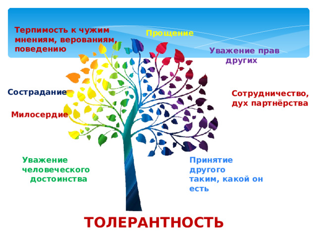 Терпимость к чужим мнениям, верованиям, поведению Прощение Уважение прав  других Сострадание Сотрудничество, дух партнёрства Милосердие Принятие другого таким, какой он есть Уважение человеческого  достоинства ТОЛЕРАНТНОСТЬ 