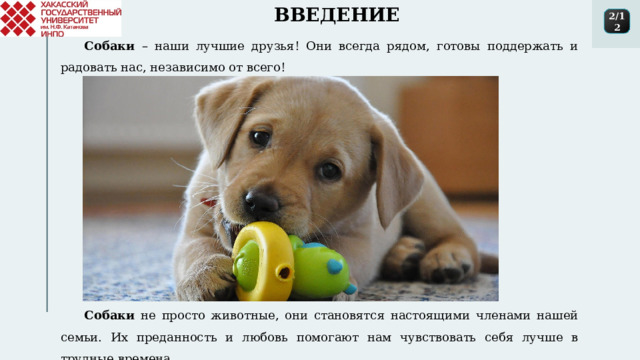 ВВЕДЕНИЕ 2/12 Собаки – наши лучшие друзья! Они всегда рядом, готовы поддержать и радовать нас, независимо от всего! Собаки не просто животные, они становятся настоящими членами нашей семьи. Их преданность и любовь помогают нам чувствовать себя лучше в трудные времена. 1 