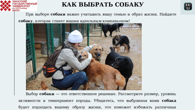 КАК ВЫБРАТЬ СОБАКУ 11/12 При выборе собаки важно учитывать вашу семью и образ жизни. Найдите собаку , которая станет вашим идеальным компаньоном! Выбор собаки — это ответственное решение. Рассмотрите размер, уровень активности и темперамент породы. Убедитесь, что выбранная вами собака будет подходить вашему образу жизни, это поможет избежать различных неприятных ситуаций. 1 