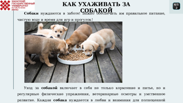 КАК УХАЖИВАТЬ ЗА СОБАКОЙ 6/12 Собаки нуждаются в заботе! Важно обеспечить им правильное питание, чистую воду и время для игр и прогулок! Уход за собакой включает в себя не только кормление и питье, но и регулярные физические упражнения, ветеринарные осмотры и умственное развитие. Каждая собака нуждается в любви и внимания для полноценной жизни. 1 