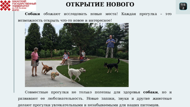 ОТКРЫТИЕ НОВОГО 7/12 Собаки обожают исследовать новые места! Каждая прогулка – это возможность открыть что-то новое и интересное! Совместные прогулки не только полезны для здоровья собаки , но и развивают ее любознательность. Новые запахи, звуки и другие животные делают прогулки увлекательными и незабываемыми для наших питомцев. 1 
