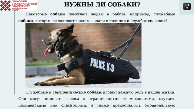 НУЖНЫ ЛИ СОБАКИ? 9/12 Некоторые собаки помогают людям в работе, например, служебные собаки , которые выполняют важные задачи в полиции и службах спасения! Служебные и терапевтические собаки играют важную роль в нашей жизни. Они могут помогать людям с ограниченными возможностями, служить полицейскими или спасателями, а также предоставлять эмоциональную поддержку. 1 