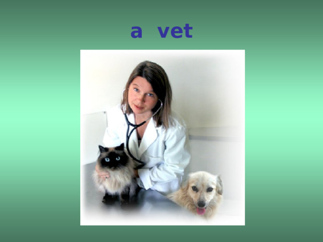 a vet 