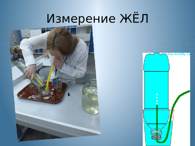 Измерение ЖЁЛ 