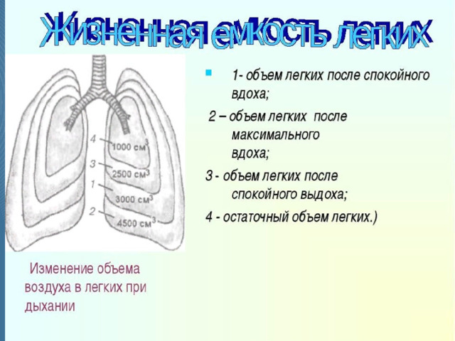 Теоретическя часть 