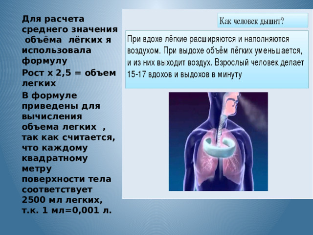 Для расчета среднего значения объёма лёгких я использовала формулу Рост x 2,5 = объем легких В формуле приведены для вычисления объема легких , так как считается, что каждому квадратному метру поверхности тела соответствует 2500 мл легких, т.к. 1 мл=0,001 л. 