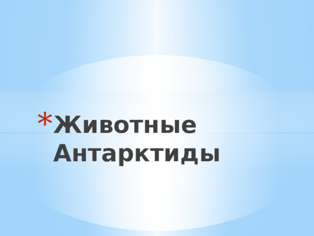 Животные Антарктиды 