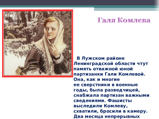 В Лужском районе Ленинградской области чтут память отважной юной партизанки Гали Комлевой. Она, как и многие ее сверстники в военные годы, была разведчицей, снабжала партизан важными сведениями. Фашисты выследили Комлеву, схватили, бросили в камеру. Два месяца непрерывных допросов, побоев, издевательств.  