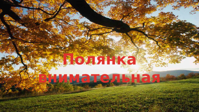 Полянка внимательная 