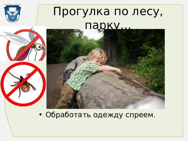 Прогулка по лесу, парку… Обработать одежду спреем. 