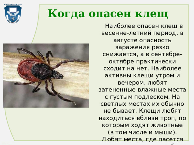 Когда опасен клещ  Наиболее опасен клещ в весенне-летний период, в августе опасность заражения резко снижается, а в сентябре-октябре практически сходит на нет. Наиболее активны клещи утром и вечером, любят затененные влажные места с густым подлеском. На светлых местах их обычно не бывает. Клещи любят находиться вблизи троп, по которым ходят животные (в том числе и мыши). Любят места, где пасется скот, различные вырубки  и глухие места. В жару или дождь клещи прячутся и не нападают. 