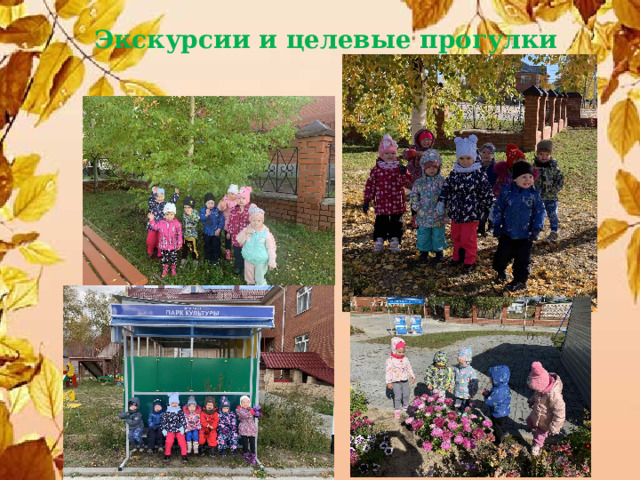 Экскурсии и целевые прогулки 