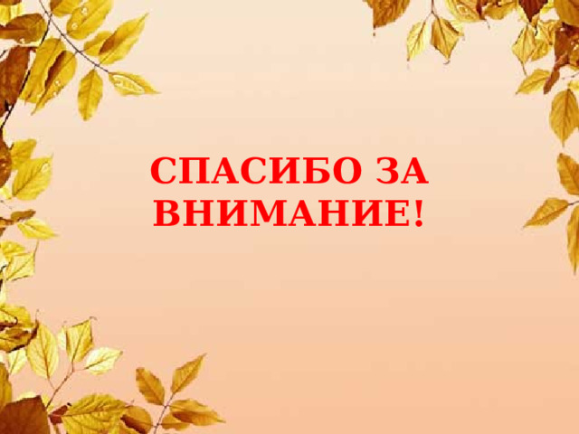 СПАСИБО ЗА ВНИМАНИЕ! 