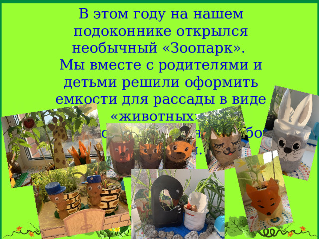 В этом году на нашем подоконнике открылся необычный «Зоопарк». Мы вместе с родителями и детьми решили оформить емкости для рассады в виде «животных», это помогло привлечь к работе всех детей.    