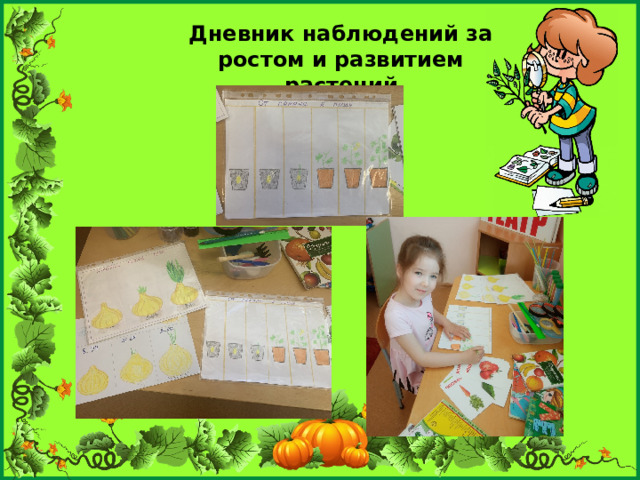 Дневник наблюдений за ростом и развитием растений 