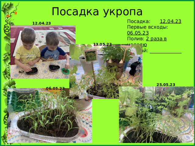 Посадка укропа Посадка: 12.04.23 Первые всходы: 06.05.23 Полив: 2 раза в неделю Урожай: _____________ 12.04.23 13.05.23 25.05.23 06.05.23 