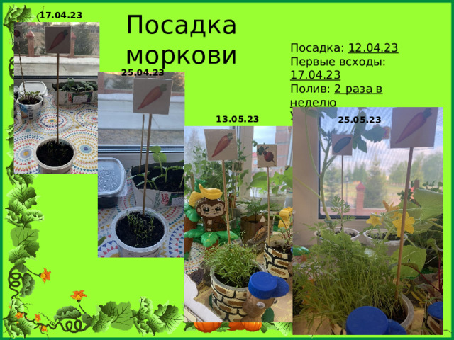 Посадка моркови 17.04.23 Посадка: 12.04.23 Первые всходы: 17.04.23 Полив: 2 раза в неделю Урожай: _____________ 25.04.23 13.05.23 25.05.23 