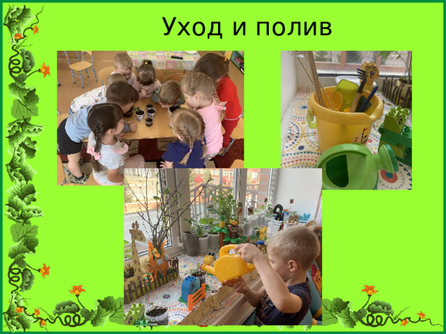 Уход и полив   