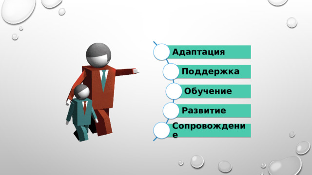 Адаптация Поддержка Обучение Развитие Сопровождение 