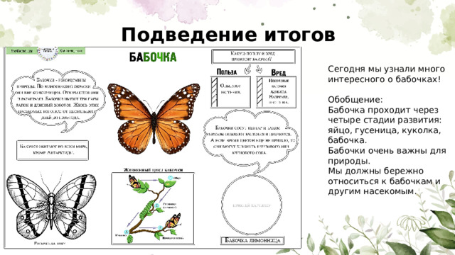 Подведение итогов урока Сегодня мы узнали много интересного о бабочках! Обобщение: Бабочка проходит через четыре стадии развития: яйцо, гусеница, куколка, бабочка. Бабочки очень важны для природы. Мы должны бережно относиться к бабочкам и другим насекомым. 