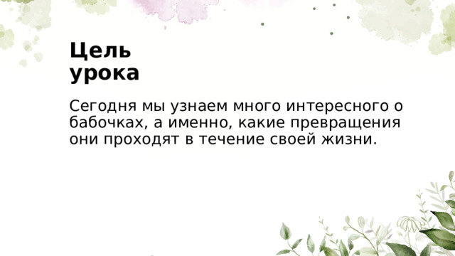 Цель урока Сегодня мы узнаем много интересного о бабочках, а именно, какие превращения они проходят в течение своей жизни. 