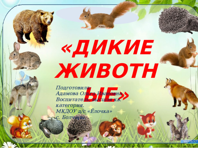 «ДИКИЕ ЖИВОТНЫЕ» Подготовила: Адамова Ольга Ивановна Воспитатель, высшая кв. категория. МКДОУ д/с «Ёлочка» с. Болчары, 