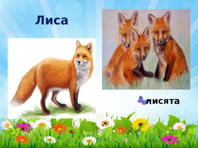 Лиса  лисята 