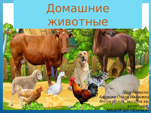 Домашние животные Подготовила: Адамова Ольга Ивановна Воспитатель, высшая кв. категория. МКДОУ д/с «Ёлочка» с. Болчары, 