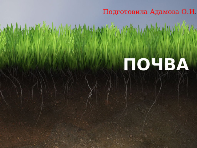 Подготовила Адамова О.И . ПОЧВА 