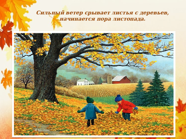 Сильный ветер срывает листья с деревьев, начинается пора листопада. 