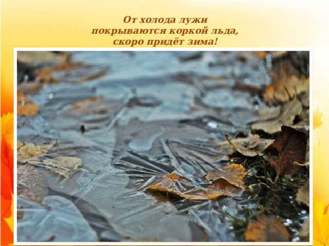 От холода лужи покрываются коркой льда, скоро придёт зима! 