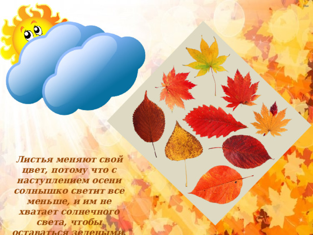 Листья меняют свой цвет, потому что с наступлением осени солнышко светит все меньше, и им не хватает солнечного света, чтобы оставаться зелеными. 