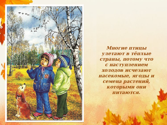 Многие птицы улетают в тёплые страны, потому что с наступлением холодов исчезают насекомые, ягоды и семена растений, которыми они питаются. 