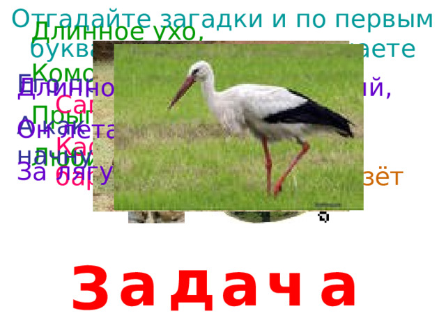 Отгадайте загадки и по первым буквам слов-отгадок узнаете тему урока. Длинное ухо, Комочек пуха, Прыгает ловко, Любит морковку. Стою на крыше— Всех труб выше. Его просят, его ждут, А как придёт, прятаться начнут. Длинноногий, длинноносый, Он летает на охоту За лягушками в болото. Сам алый, сахарный, Очень медленно ползёт, Кафтан зелёный, бархатный. Панцирь на себе везёт д а ч а а З 