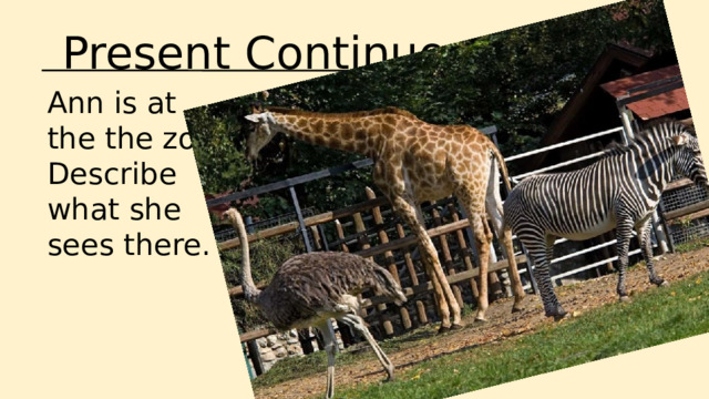Present Continuous Ann is at the the zoo. Describe what she sees there. 
