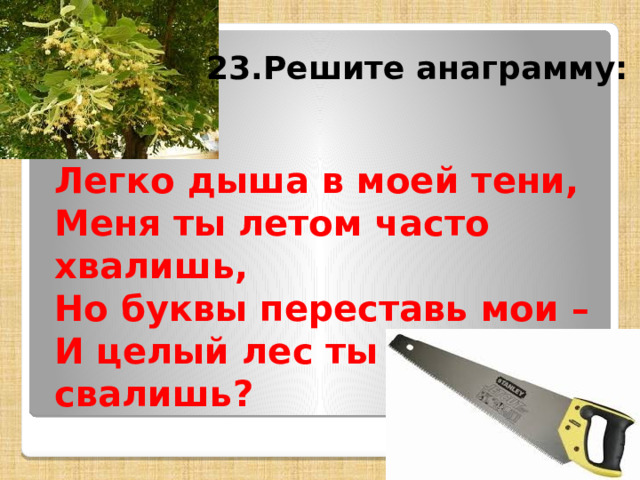 23.Решите анаграмму: Легко дыша в моей тени, Меня ты летом часто хвалишь, Но буквы переставь мои – И целый лес ты мною свалишь? 