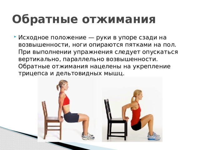 Обратные отжимания Исходное положение — руки в упоре сзади на возвышенности, ноги опираются пятками на пол. При выполнении упражнения следует опускаться вертикально, параллельно возвышенности. Обратные отжимания нацелены на укрепление трицепса и дельтовидных мышц. 