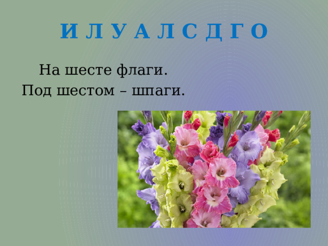И Л У А Л С Д Г О На шесте флаги. Под шестом – шпаги. 