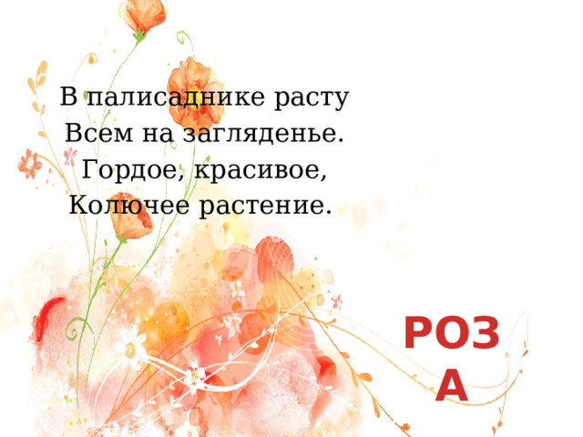В палисаднике расту Всем на загляденье. Гордое, красивое, Колючее растение. РОЗА 
