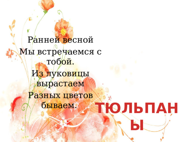 Ранней весной Мы встречаемся с тобой. Из луковицы вырастаем Разных цветов бываем. ТЮЛЬПАНЫ 