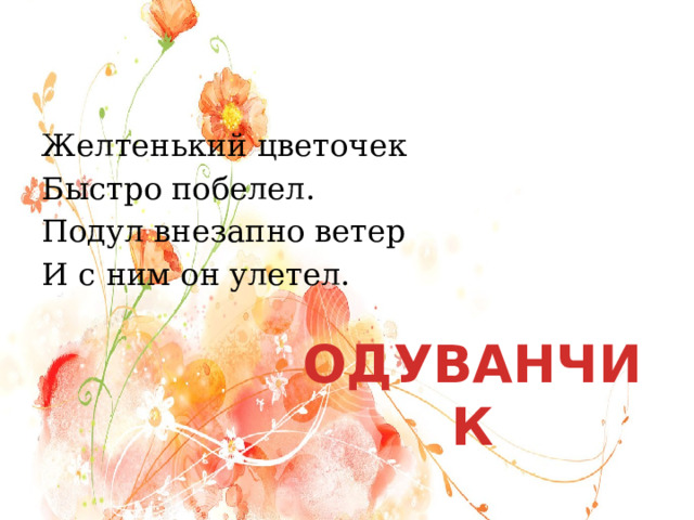 Желтенький цветочек Быстро побелел. Подул внезапно ветер И с ним он улетел. ОДУВАНЧИК 