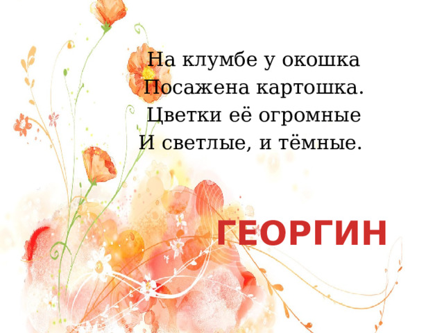 На клумбе у окошка Посажена картошка. Цветки её огромные И светлые, и тёмные. ГЕОРГИН 