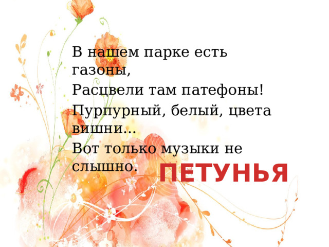 В нашем парке есть газоны, Расцвели там патефоны! Пурпурный, белый, цвета вишни... Вот только музыки не слышно. ПЕТУНЬЯ 