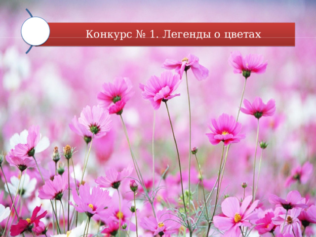 Конкурс № 1. Легенды о цветах 