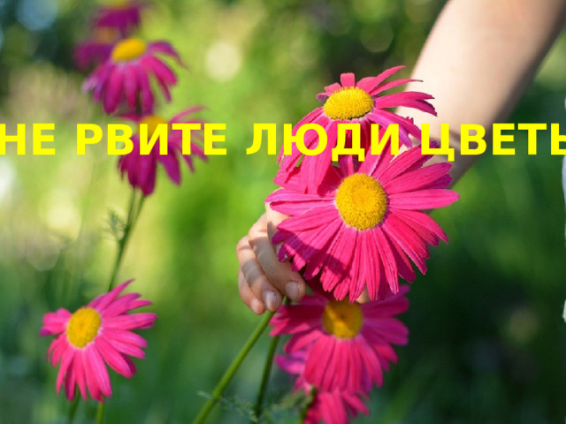 НЕ РВИТЕ ЛЮДИ ЦВЕТЫ 